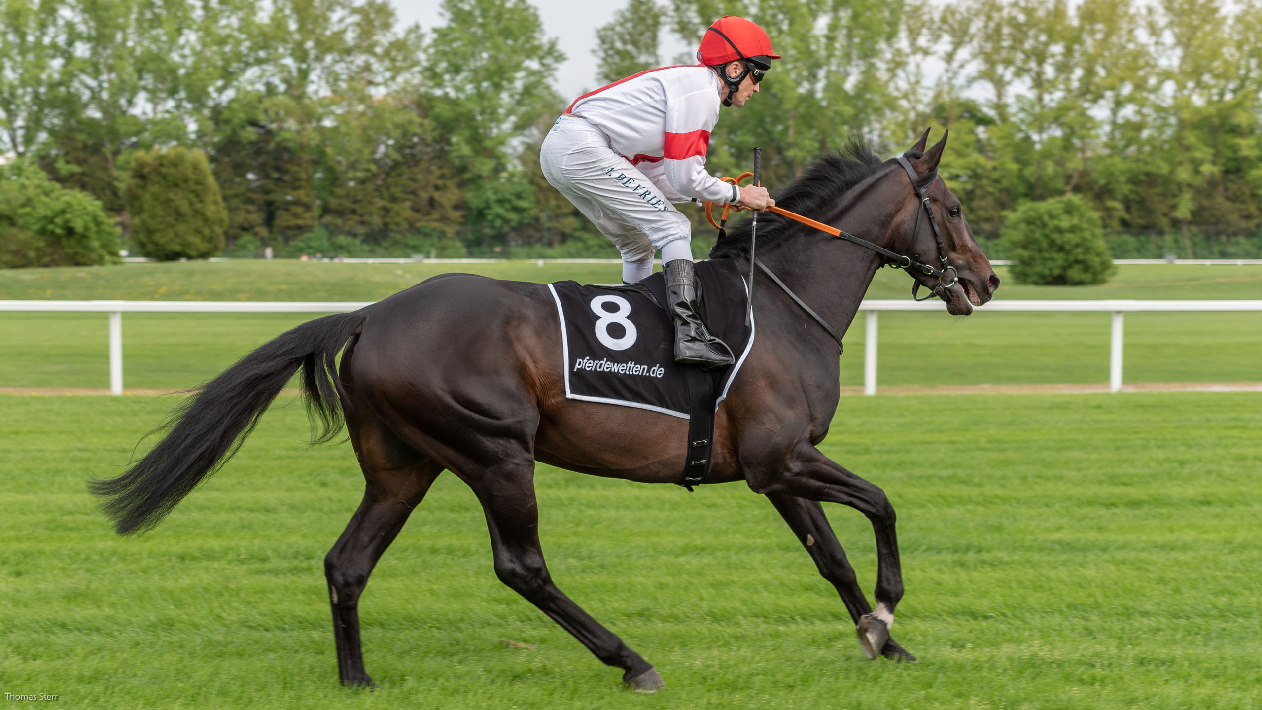 Galopprennen München Riem Mai 2018